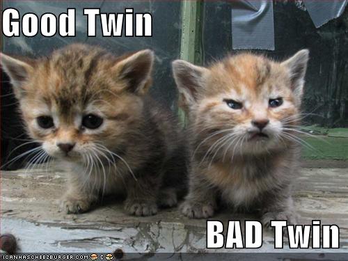 i-11e125c5e109510f788693afdb5a775c-funny-pictures-good-and-evil-kittens-thumb-500x375.jpg