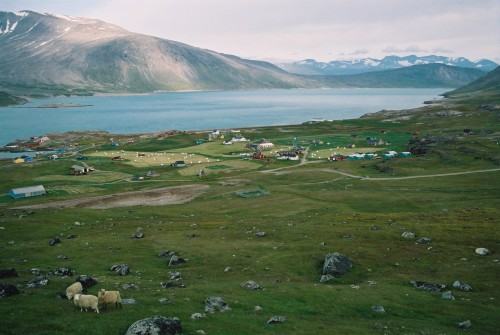 Mit etwas Glück kriegt man in Grönland mal ne grüne WIese... aber keinen Wein! (Bild: Public Domain)