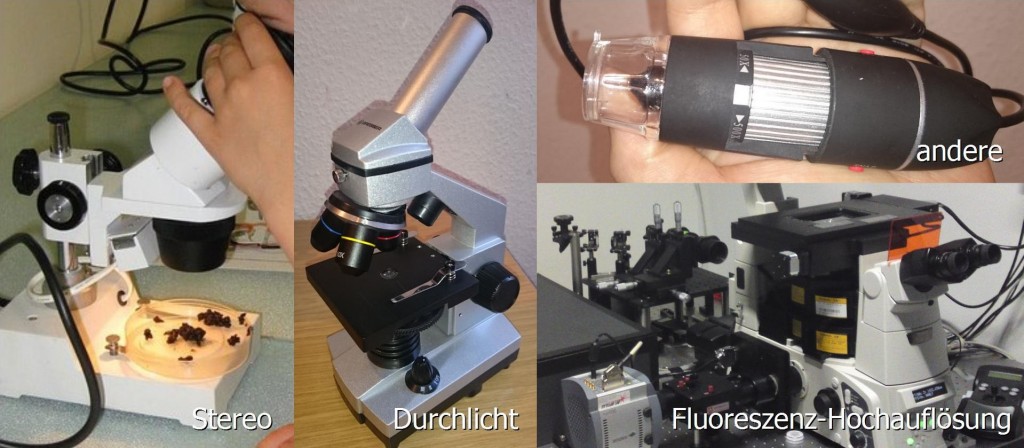 Verschiedene Mikroskop-Typen