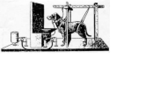 grenzhund