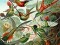 171px-Haeckel_Trochilidae