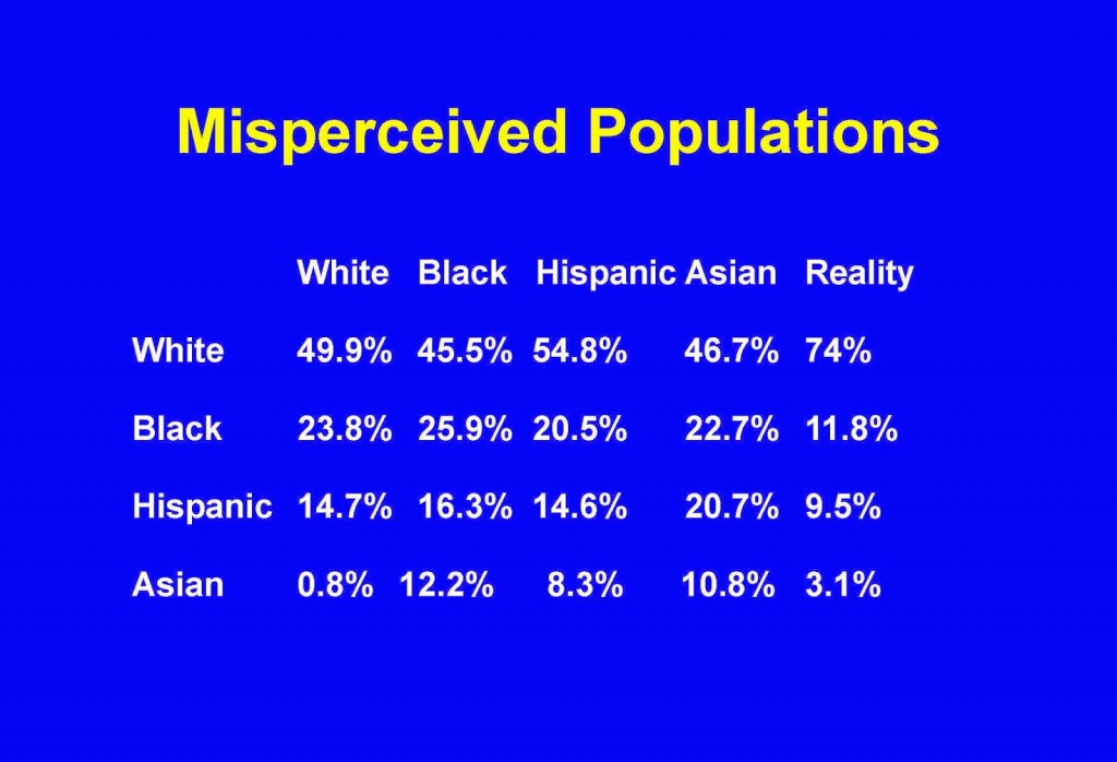 perceptions of race