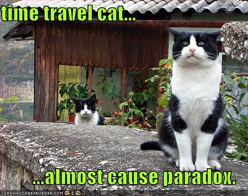 funny-pictures-time-paradox-cats