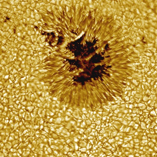 Granulation und Sonnenfleck (Bild: NASA)