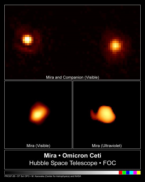 Der rote Riese Mira im Sternbild Walfisch gehört zu den wenigen Sternen, die auch mit freiem Auge deutliche Helligkeitsänderungen zeigen.