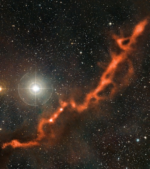 Teil einer riesigen Molekülwolke im Sternbild Stier (Bild: ESO/APEX (MPIfR/ESO/OSO)/A. Hacar et al./Digitized Sky Survey 2. Acknowledgment: Davide De Martin)