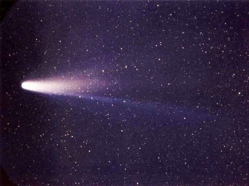 Der Halleysche Komet (Bild: NASA)