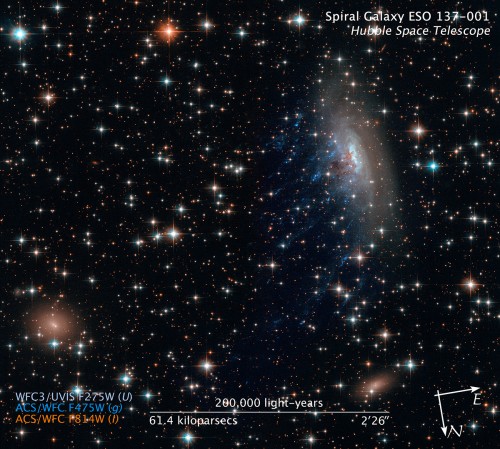 Bild: NASA, ESA, and Z. Levay (STScI)