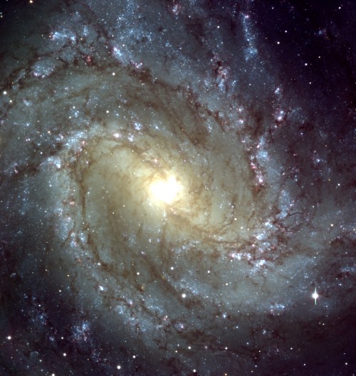 Spiralgalaxie Messier 83 (Bild: ESO