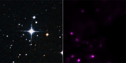 Bild: X-ray: NASA/CXC/SAO/I.Pillitteri et al; Optical: DSS)