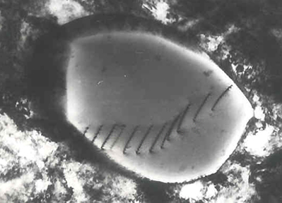 Versetzungen in rostfreiem Stahl unter dem Mikroskop (Bild: Wikityke, CC-BY-SA 2.5)