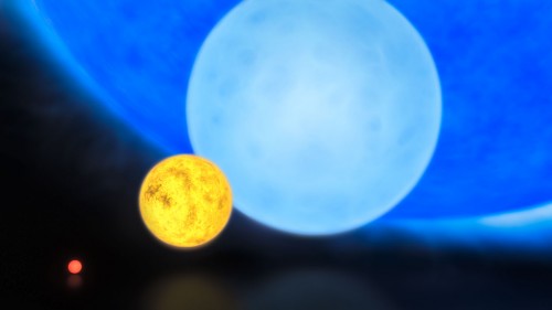 Ein roter Zwergstern, die gelbe Sonne, ein kleiner blauer Riesenstern und dahinter nur teilweise zu erkennen: Der schwerste bekannte Stern R136a1 (Bild: ESO/M.Kornmesser)