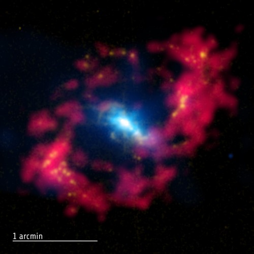 NGC 4151 im Röntgen- und Radiolicht (Bild: X-ray: NASA/CXC/CfA/J.Wang et al.; Optical: Isaac Newton Group of Telescopes, La Palma/Jacobus Kapteyn Telescope, Radio: NSF/NRAO/VLA)