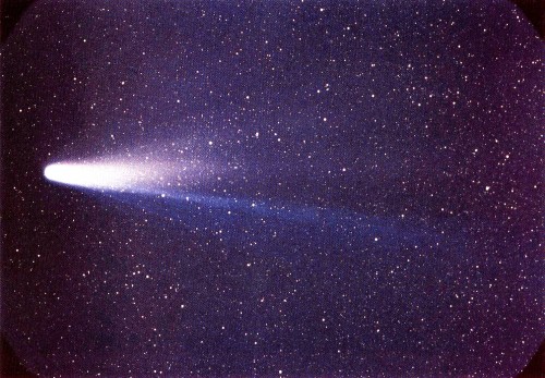 Komet Halley (Bild: NASA/W.Lille)