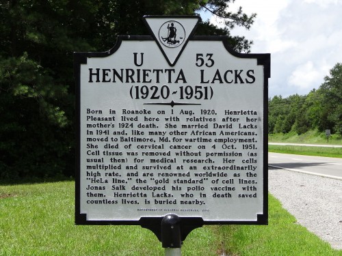 Eine Gedenktafel für Henrietta Lacks in der Nähe ihres Grabes. Bild: Emw, CC BY-SA 3.0.
