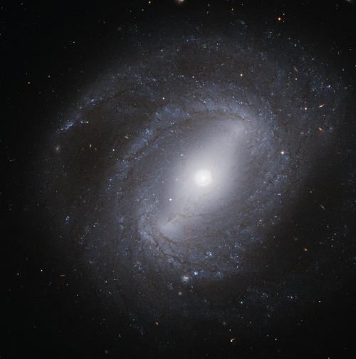 NGC 4394 (Bild: Judy Schmidt, CC-BY 2.0)