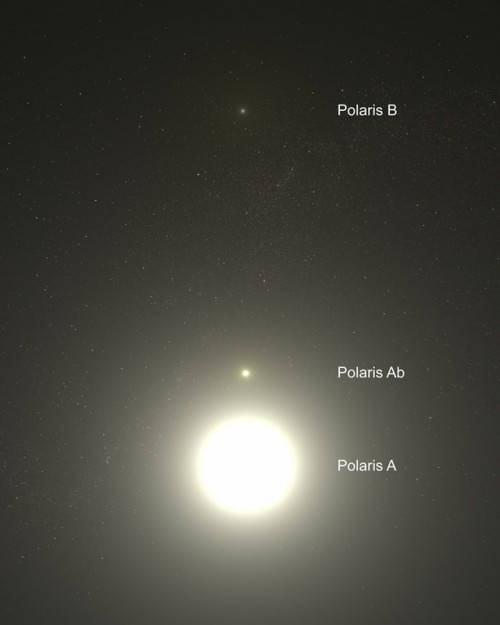 Künstlerische Darstellung der Sterne im Polarstern-System (Bild: NASA, ESA, G. Bacon (STScI))