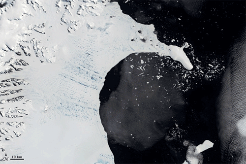 Kollaps des Larsen B Eisschelfs in der Antarktis (Bild: NASA's Earth Observatory)