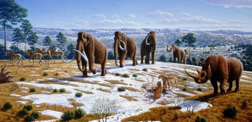 Früher war das Klima anders (Caitlin Sedwick (1 April 2008). "What Killed the Woolly Mammoth?". PLoS Biology 6 (4): e99)