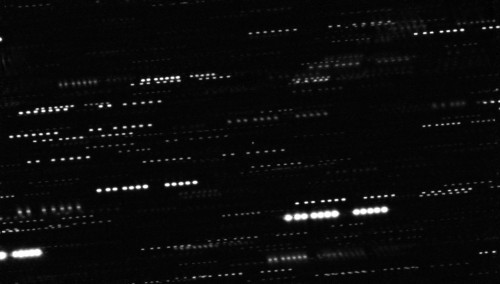 Foto von 'Oumuamua. Der Asteroid ist der Punkt in der Bildmitte, die Striche sind die verschmierten Bilder von Sternen (Bild: ESO/K. Meech et al.)