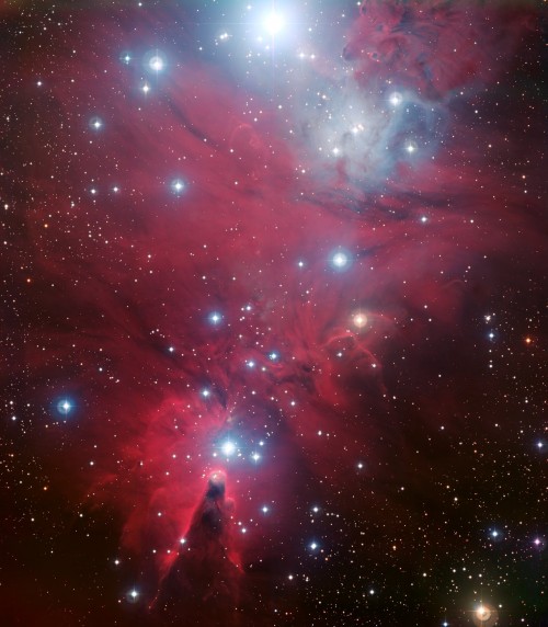 NGC 2264 (Bild. ESO)