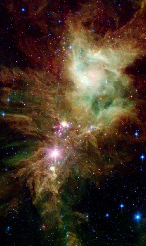 NGC 2264 mit Infrarotlicht (Bild: NASA/JPL-Caltech/P.S. Teixeira (Center for Astrophysics), Public Domain)