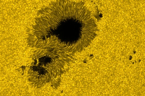 Granulation auf der Sonne (das griselige Zeug rund um den großen schwarzen Fleck) (Bild: Hinode JAXA/NASA, public domain)