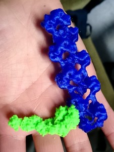 3D gedrucktes Modell eines Actin-Filaments (blau) und eines Myosin-Teils (grün).