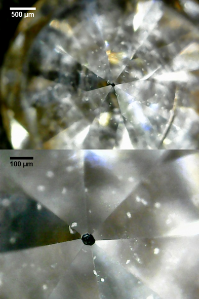 Dinge Unter m Mikroskop VI Diamant Die Kleinen Dinge dinge-unter-m-mikroskop-vi-diamant-die-kleinen-dinge