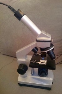 Die Kamera auf dem Bresser Mikroskop.