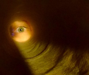 Mein Auge am Ende einer Küchentuch-Pappröhre (ca. 25 cm)