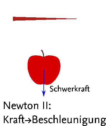 newtonApfel1b