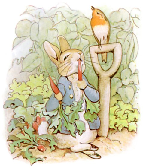 Peter-Rabbit-Illustration