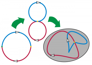 Homotopy_group_addition