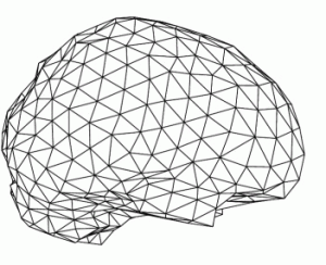 brainmesh