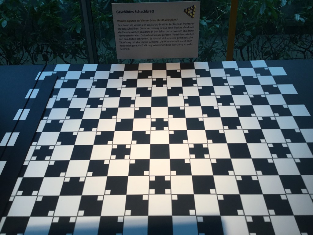 5CCFD23E-AF21-4F14-8C79-D4CE2D03F5ED