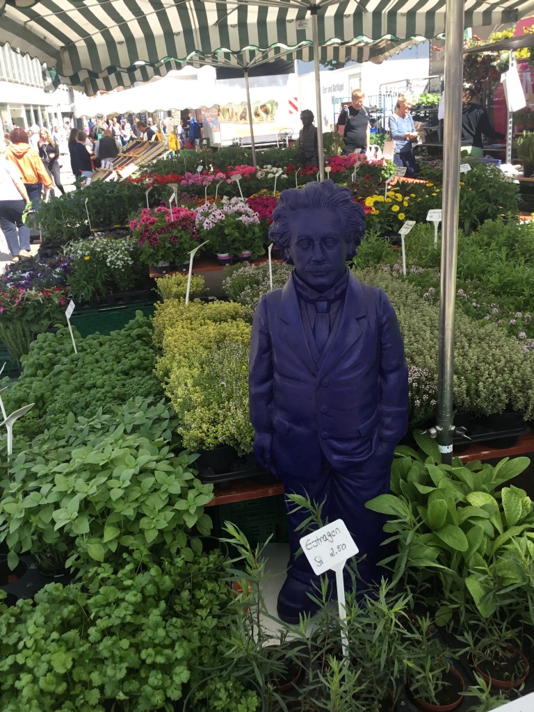 FD464B0C-3C3D-4D25-A6F5-34D967CCCEB9