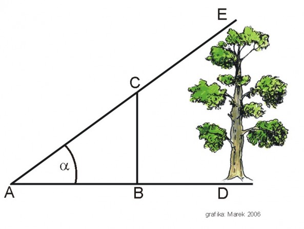 Triangulation ScienceBlogs auf Deutsch